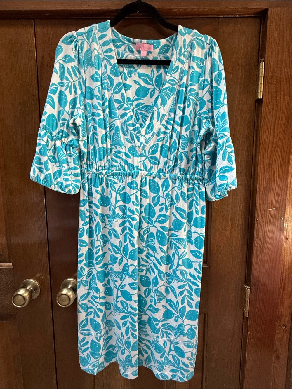 Lilly Pulitzer Blue Botanical Print Empire Waist Dress